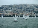 Lotys of small sailboats